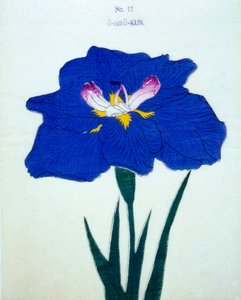Osho-kun. 1898. 12