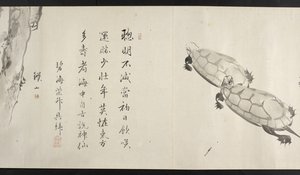 Vagy. 14872, f.36, Két teknősbéka, Yoshida Seisaitól (tekercs) alkotó: Japanese School