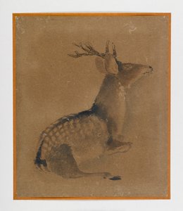 Fekvő szarvas (tinta és szépia papíron) alkotó: Japanese School