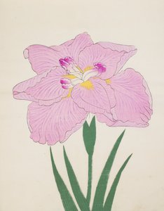 Shu-Fu-Raku, No. 58, 1890 (színes fatömbnyomat) alkotó: Japanese School