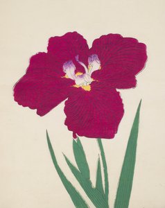 Tai-Hei-Raku, No. 18, 1890 (színes fatömbnyomat) alkotó: Japanese School