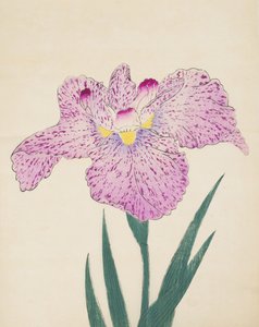 Tanka-No-Koe, 15. sz., 1890 (színes fatömbnyomat) alkotó: Japanese School