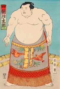 Tesmo W Les ster Asashio Taro alkotó: Japanese School