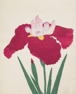 Yamamatayama, No. 83, 1890 (színes fatömbnyomat) alkotó: Japanese School