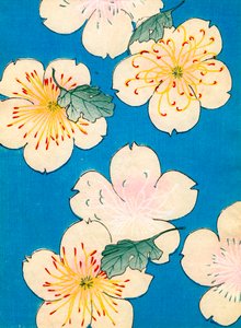 színes fatömb nyomat Dogwood Blossoms alkotó: Japanese School