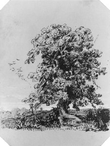  alkotó: Jasper Francis Cropsey