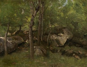 Sziklák a fontainebleau-i erdőben