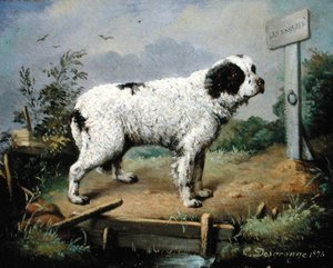 Új-Fundland egy rakparton alkotó: Jean-Baptiste Desgrange