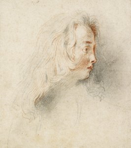 Egy fiú feje profilban (fekete-piros kréta foltos törtfehér papíron) alkotó: Jean Antoine Watteau