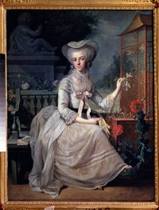 "Fiatal hölgy ketrecben" (Fiatal hölgy ketrecben) Jean-Baptiste (Jean Baptiste) Charpentier festménye (1728-1806) 1784 Puskin Múzeum, Moszkva
