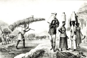 Tej- és Capim árusok, a „Pestői és történelmi utazás Brazíliába” c.