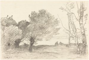 Fűz és fehér nyár (Saules et peupliers blancs) alkotó: Jean Baptiste Camille Corot