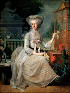 Fiatal hölgy egy ketrecben, 1784 alkotó: Jean Baptiste Charpentier the Elder