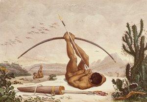 Natív íjászok, Illusztráció az Utazások Brazília belsejében című filmből alkotó: Jean Baptiste Debret