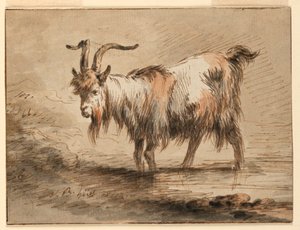 Rajz, Kecske tanulmánya, 1772 alkotó: Jean Baptiste Huet