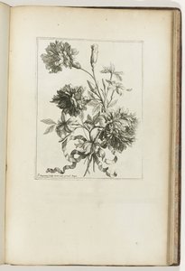 Kötött csokor Les Petits Bouquets (sorozat címe) alkotó: Jean Baptiste Monnoyer