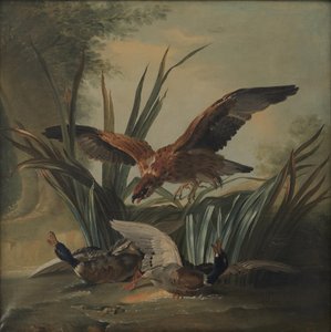 Egy Sólyom ütöget egy pár kacsán alkotó: Jean-Baptiste Oudry
