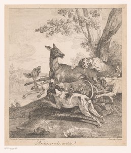 Vadászkutyák megtámadták a szarvast Arrêtés, cruels, arrêtez (...) (cím a tárgyon) Vadászjelenetek (sorozat címe) alkotó: Jean Baptiste Oudry