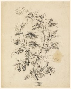 Rajz, Egy fantasztikus fa ága, 1775-1800