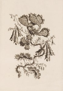 Virágág, a "Fleurs Persanes"-ból alkotó: Jean Baptiste Pillement