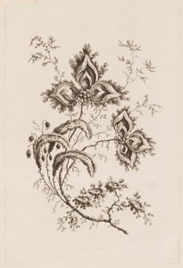 Virágág, a "Fleurs Persanes"-ból alkotó: Jean Baptiste Pillement