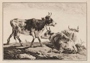 2. tábla, a "Hat ökör és tehén jegyzetfüzetéből" alkotó: Jean Baptiste Pillement