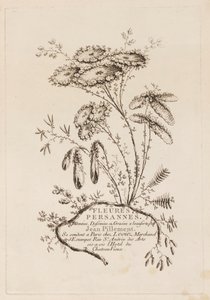 Címlap, a "Persian Flowers"-ből alkotó: Jean Baptiste Pillement