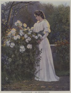 Les Chrysanthemes (Krizantém)