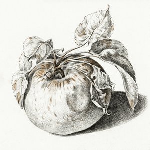 Apple alkotó: Jean Bernard