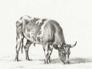 Legelésző bik alkotó: Jean Bernard