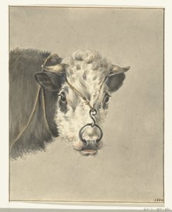 Egy tehén feje, orrgyűrűvel, elölről alkotó: Jean Bernard