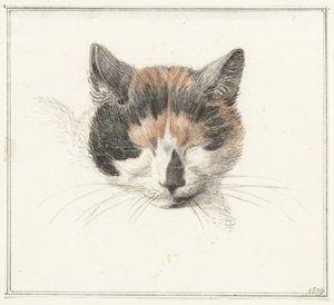 Egy kalikó macska feje, elölről, csukott szemmel alkotó: Jean Bernard