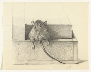 Egér (csapdában?) alkotó: Jean Bernard