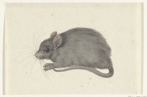 Egér, balra alkotó: Jean Bernard