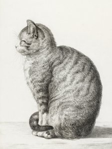 Ülő macska (1815)