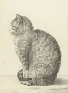 Ülő macska, balra. 1815