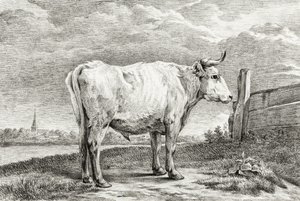 Álló Bika (1817) alkotó: Jean Bernard
