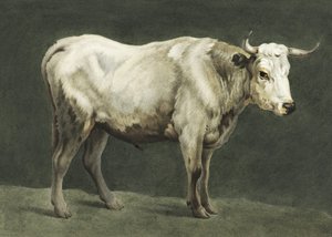 Álló Bika című festmény alkotó: Jean Bernard