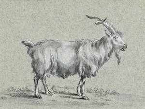 Álló kecske – Jean Bernard