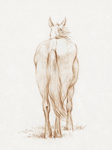 Álló ló (1815) – Jean Bernard