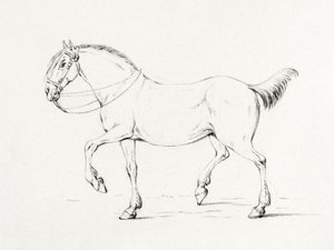 Lépő ló (1775–1833) alkotó: Jean Bernard