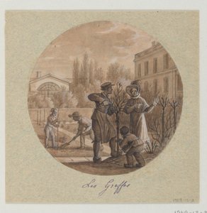 Festett porcelántányér terve, Les Greffes (oltványok) a Service de la Culture des Fleurs-től (Virágtermesztési Szolgálat) alkotó: Jean Charles Develly