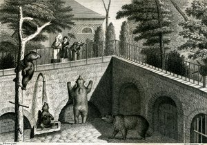 Medve barlang az állatkertben alkotó: Jean-Charles Werner