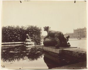 Versailles, Fontaine du Point du Jour, (Tigre Terrassant un Ours by Houzeau) alkotó: Jean Eugène Auguste Atget