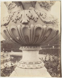 Versailles, Váza
