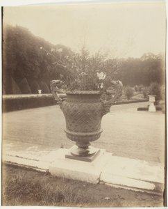Versailles, Ballin váza alkotó: Jean Eugène Auguste Atget