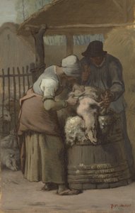 A báránynyírók, 1857-61 alkotó: Jean Francois Millet