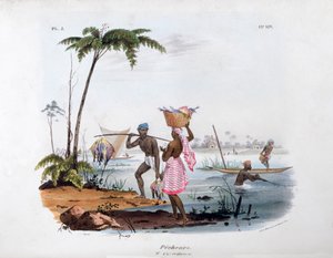 Halász, 1828