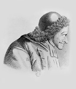Voltaire portréja