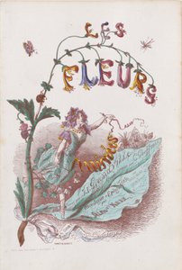 Az animált virágok, címlap, 1847.